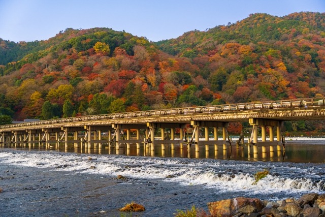 The Arashiyama You’ve Dreamed of Still Exists—If You Know the 2026 "Time-Shift" Secret