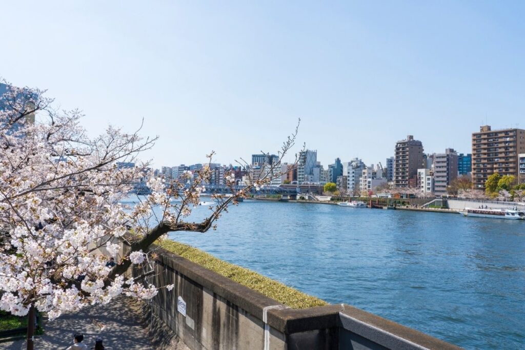 Sumida Park Asakusa Tokyo