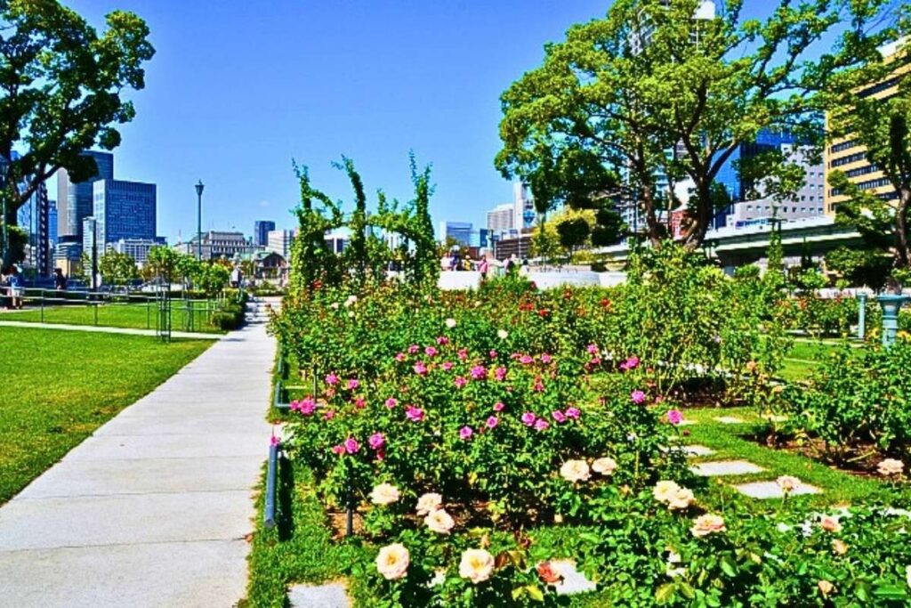 Nakanosima Rose Garden