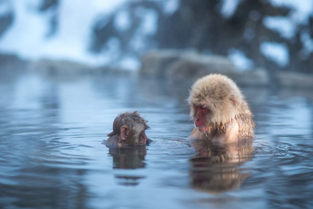Japan Onsen Hot Springs